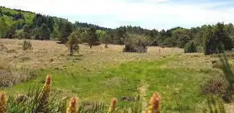 Photo de Tourbière de la Mazure