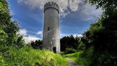 Hill Of Allen Tower