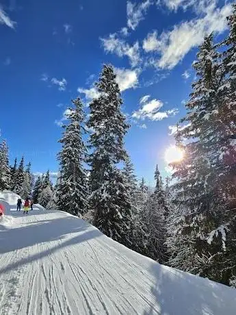Photo of CMA - Cabane de bois