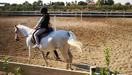 Photo de Cavallonatura Equestrian Center Grosseto