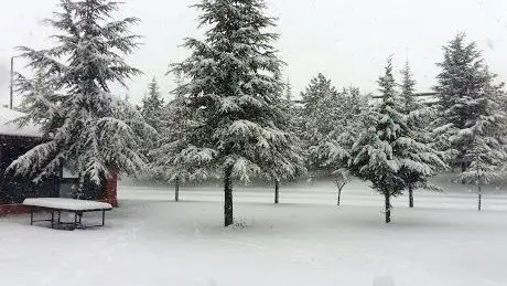 Photo de Ömer Thermal & SPA Tatil Köyü Cafe Ömer