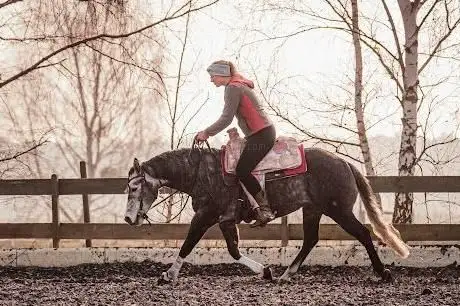 Photo de Westernreiten Lucille Hirschfeld