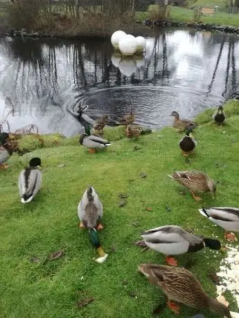 Photo de Prästängen