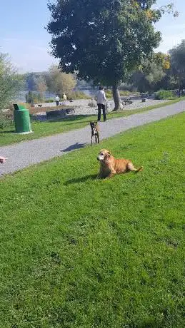 Photo de Seepark Arbon