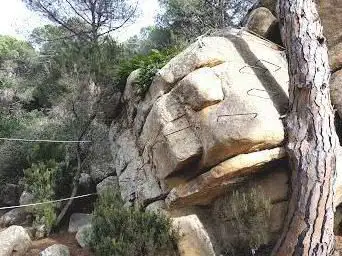 Photo de Bosc del cim de la Roca Grossa