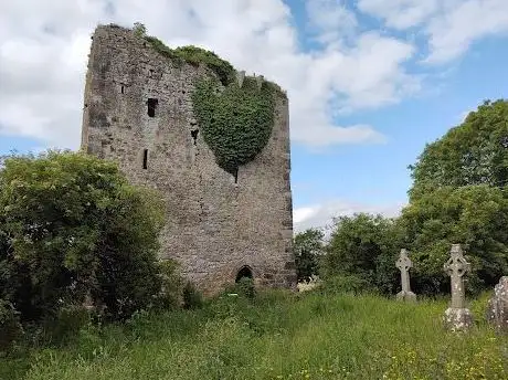 Photo de Lisronagh Castle