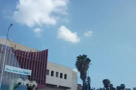 Photo de Palace of Culture - Kafr el-Dawwar