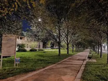 Photo de La coulée verte