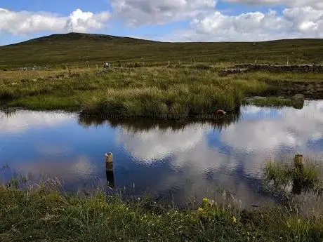 Foto de National Trust - Divis and the Black Mountain