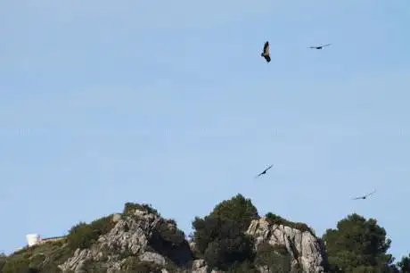 Photo de Observatorio de aves de Casares