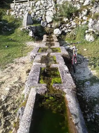 Photo de Fontana dei Palombi