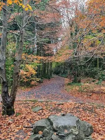 Photo de The Meadows