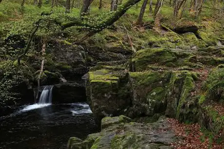 Photo de Wee Cauldron Waterfall