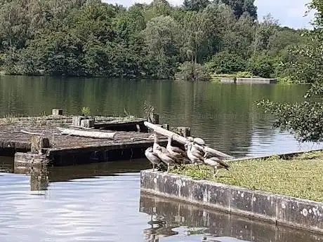 Photo de Ümminger See