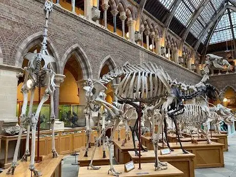 Photo de Oxford University Museum of Natural History
