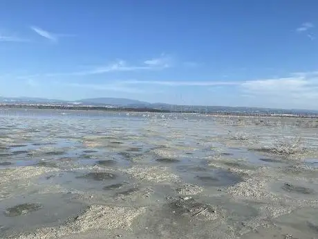 Photo of Salt Lake
