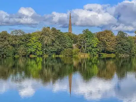 Hillsborough Forest & Car Park
