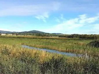 BirdWatch Ireland's East Coast Nature Reserve