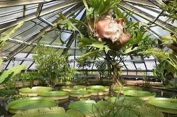 Photo de Botanical Garden