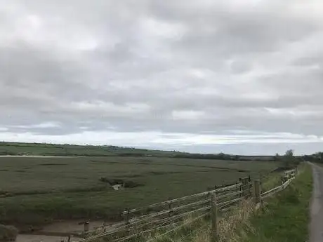 Photo de RSPB Isley Marsh