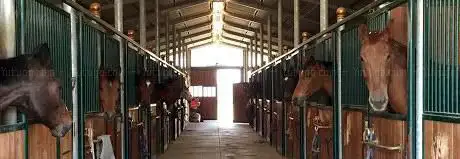 Photo de Cal Alta Horse Club