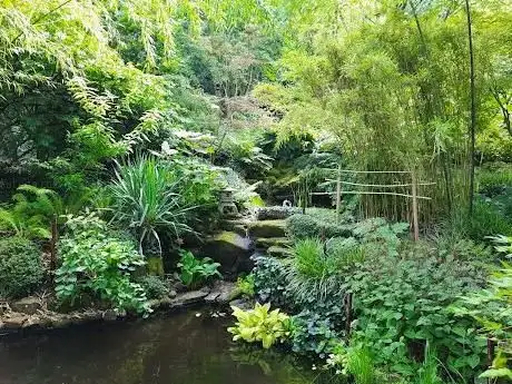 Photo de Jardin du Mollberg