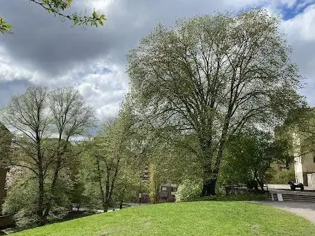Photo de Tjurbergsparken