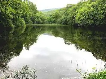 Photo de Mattheiser Wald