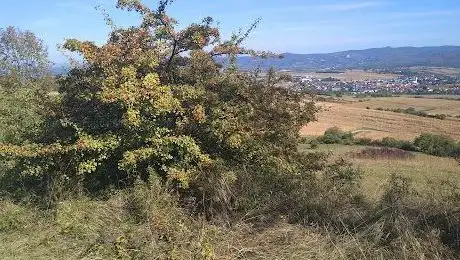 Photo de Naturpark Rosalia-Kogelberg