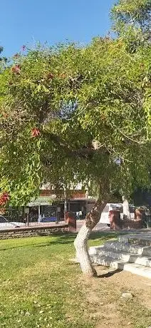Photo de MERKEZ PARK