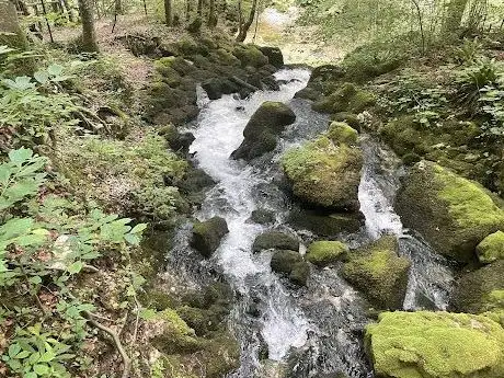 Photo de Izvor rijeke Čabranke
