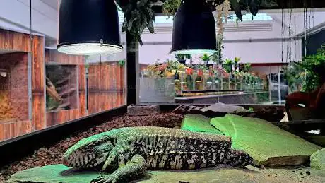 Photo de Esposizione di Rettili