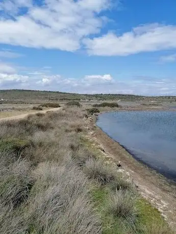 Photo de Kuş gözlem yeri ayvalık