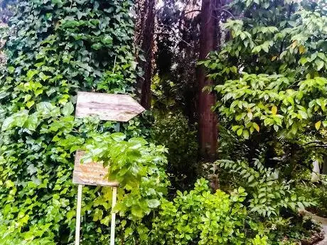 Photo de Complexe Culturel Les Grands Arbres