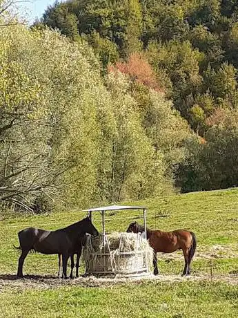 Photo de Stadio comunale vecchio di Comunanza