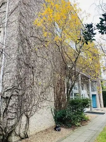 Photo de UCD St. Stephen's Chaplaincy