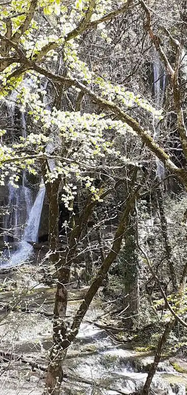Photo de Cascade de Clairefontaine