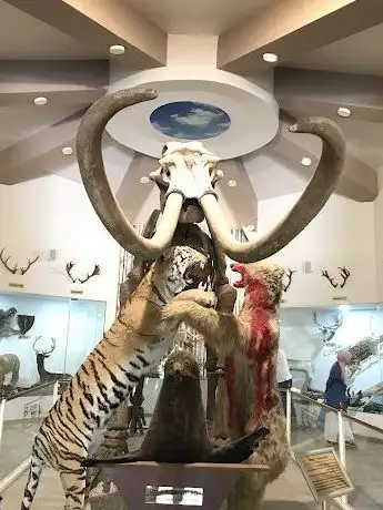 Photo de Hayvanat Bahçesi Zoo