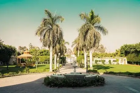 Photo de سندريلا 4ويدنج