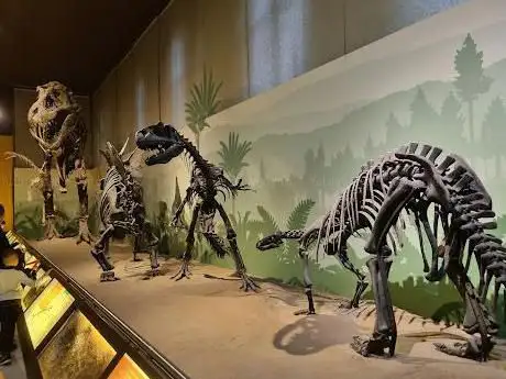 Photo de Museo Civico di Storia Naturale de Milan