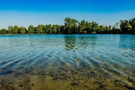 Photo de FKK Badesee Birkensee