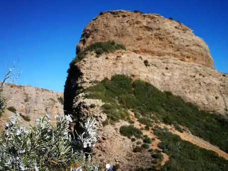 Photo de Mallo Colorado