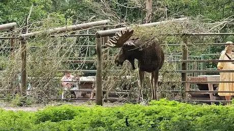 Photo de Älghägn i Skånes djurpark