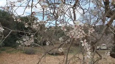 Photo de Koca Bahçe