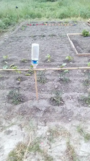 Photo de Partagé Garden