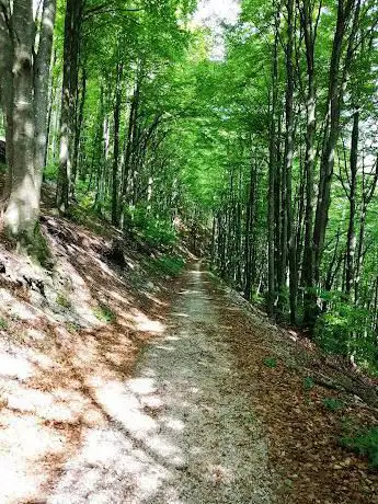 Photo de Monte Covria