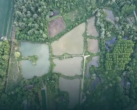 Photo de Le domaine de Remiencourt