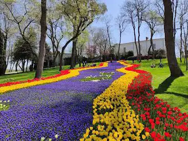 Photo de Emirgan Park