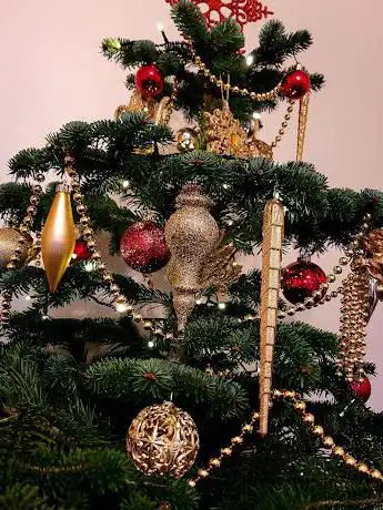 Photo de Love A Christmas Tree