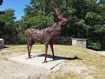 Photo de Belvédère - sentier de la grande faune